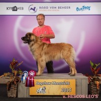 575_Dogshow_Maastricht_2015_Kynoweb_Kynoweb- Ernst von Scheven_20150927_11_23_31-BorderMaker