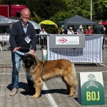 LIngen