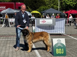 LIngen