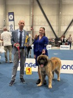 luik dag 1 golden dog trophy